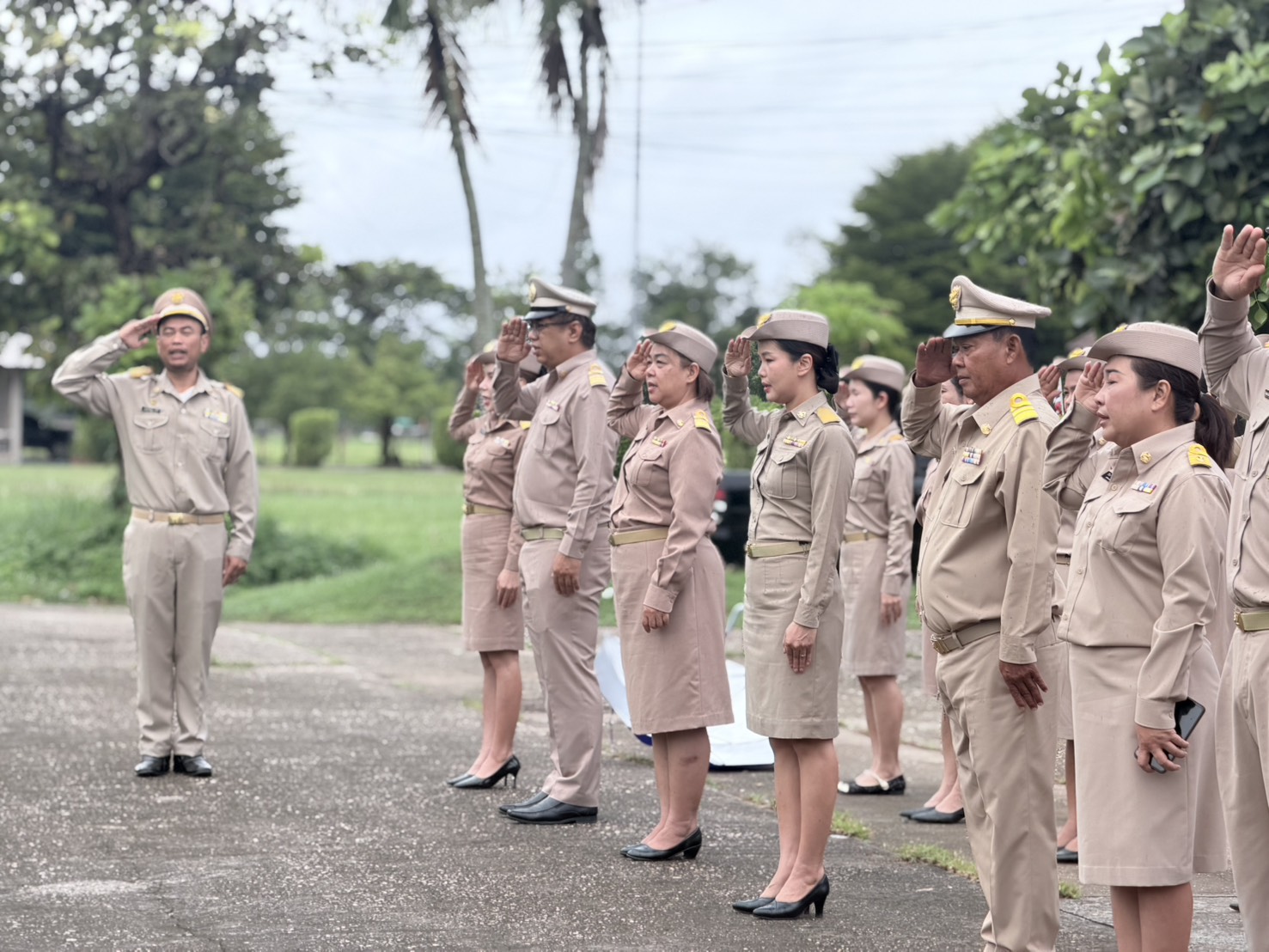 ภาพที่ 13