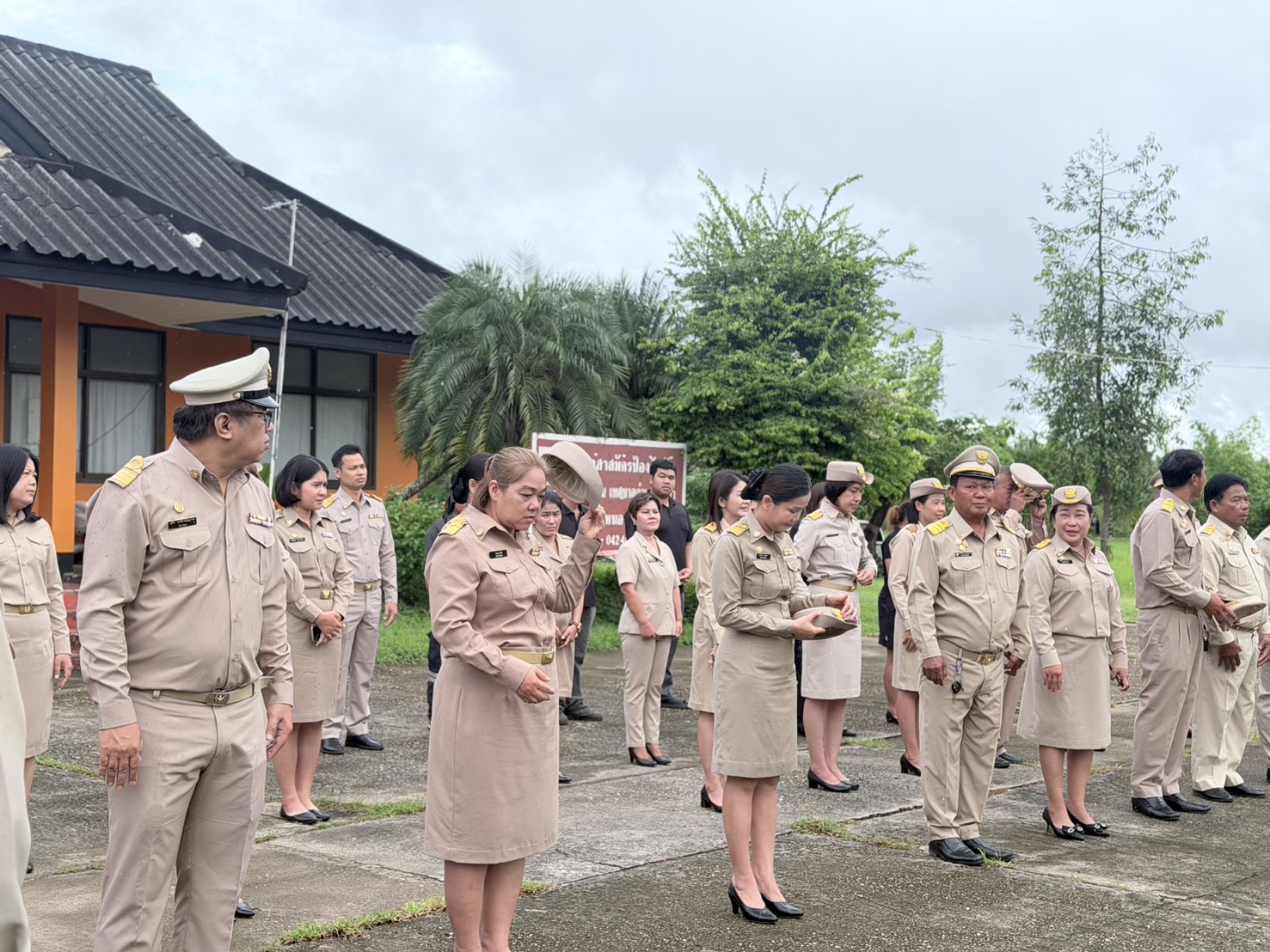 ภาพที่ 17