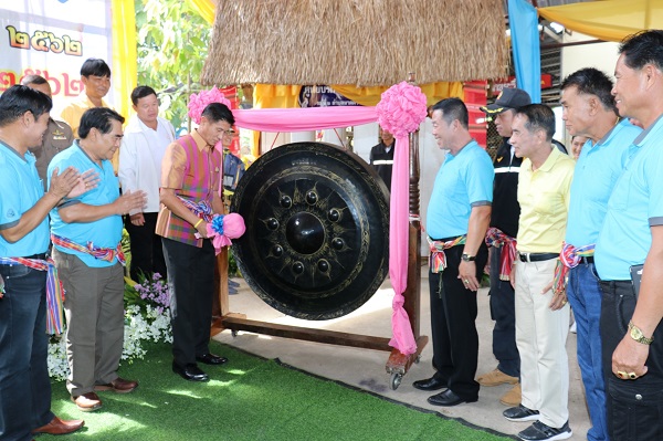 ภาพที่ 14