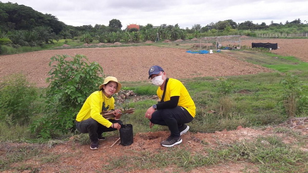 ภาพที่ 7