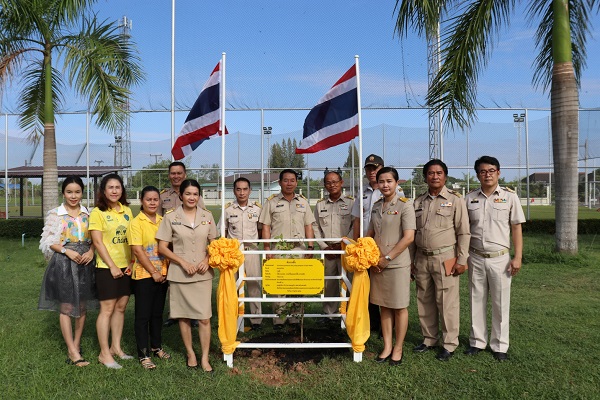 ภาพที่ 7