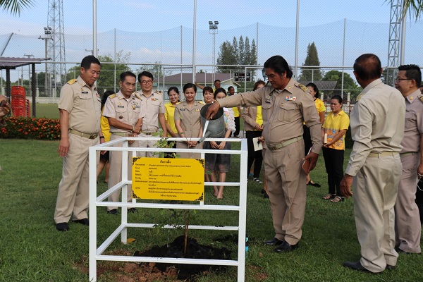 ภาพที่ 4