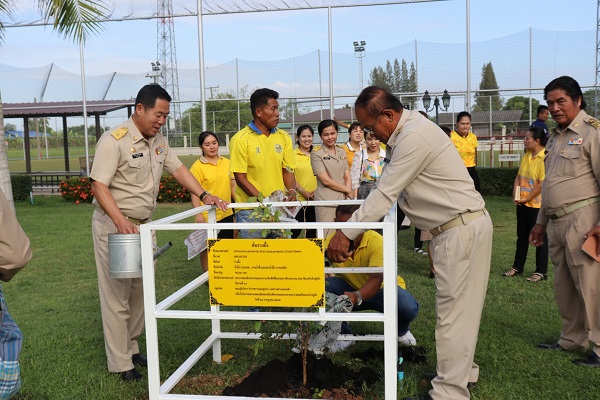 ภาพที่ 3