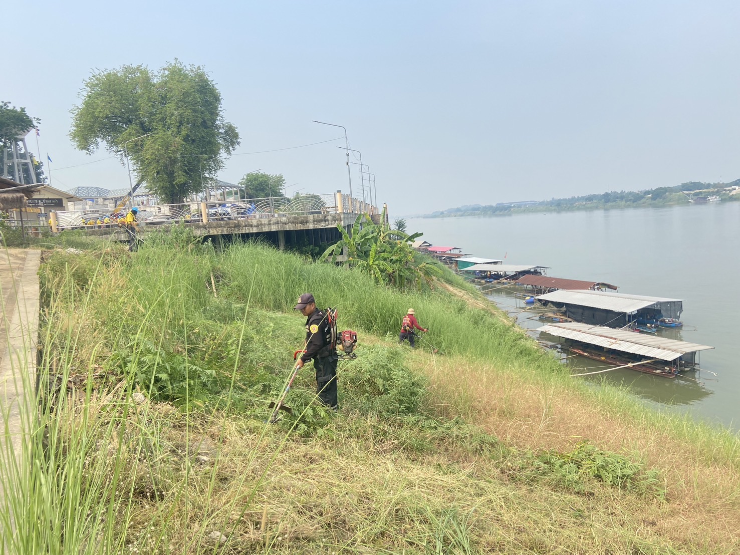 ภาพที่ 4