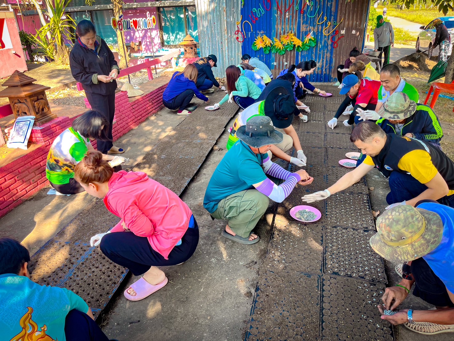 วันพุธ ที่ 20 พฤศจิกายน 2567 เวลา 08.30 น. ณ บริเวณด้านหลังอาคารสำนักงานป้องกัน เจ้าหน้าที่เทศบาลตำบลหาดคำร่วมเพาะกล้าต้นทานตะวัน (รอบ 2) ตามโครงการท่องเที่ยววิถีถิ่น ประจำปี 2567
