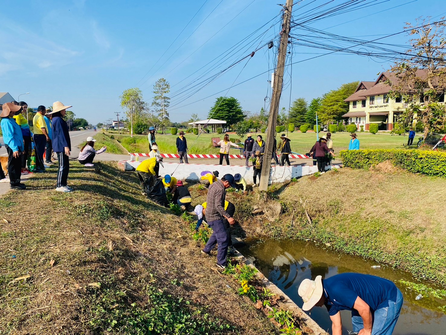 ภาพที่ 8