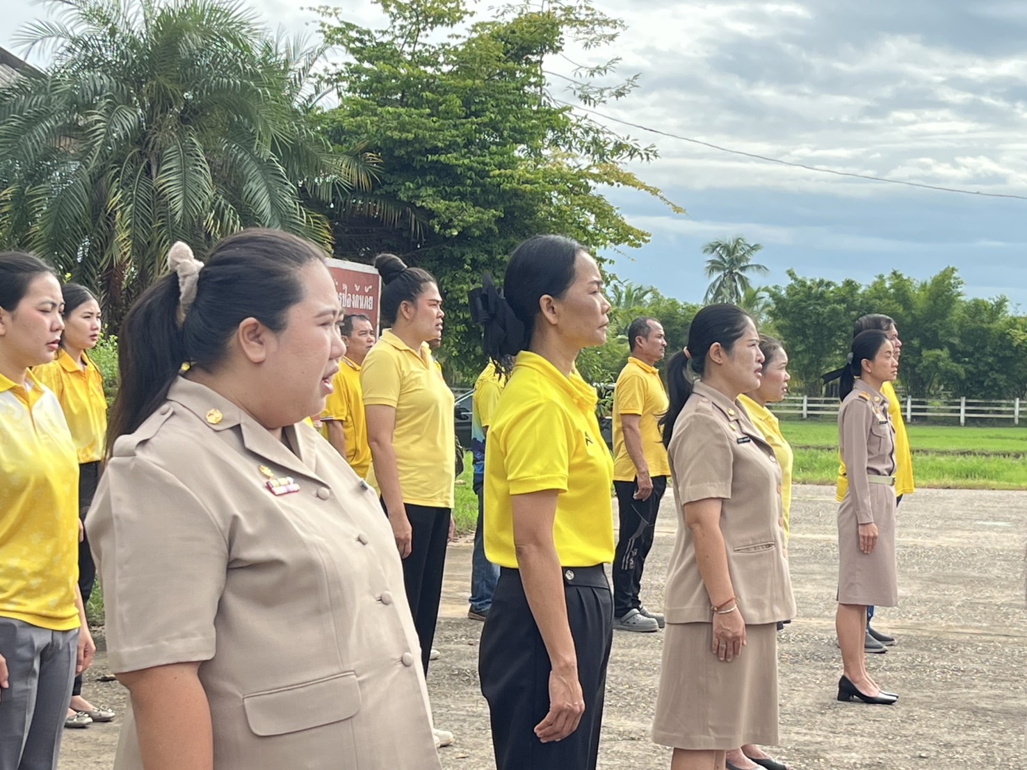 ภาพที่ 6