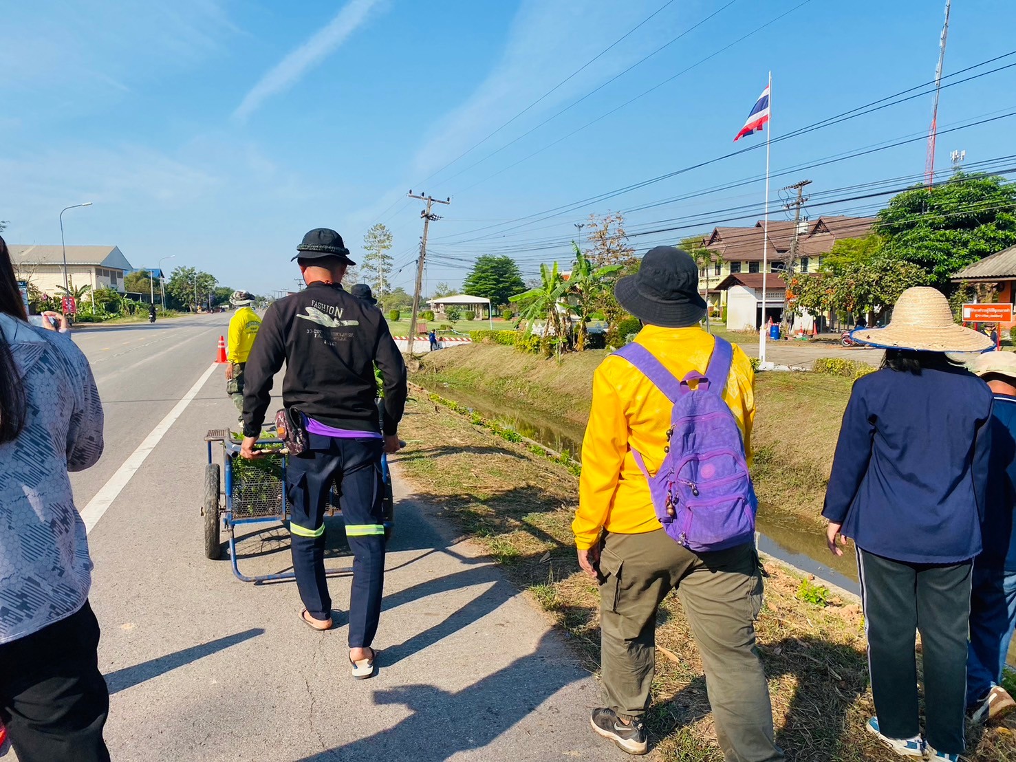 ภาพที่ 16