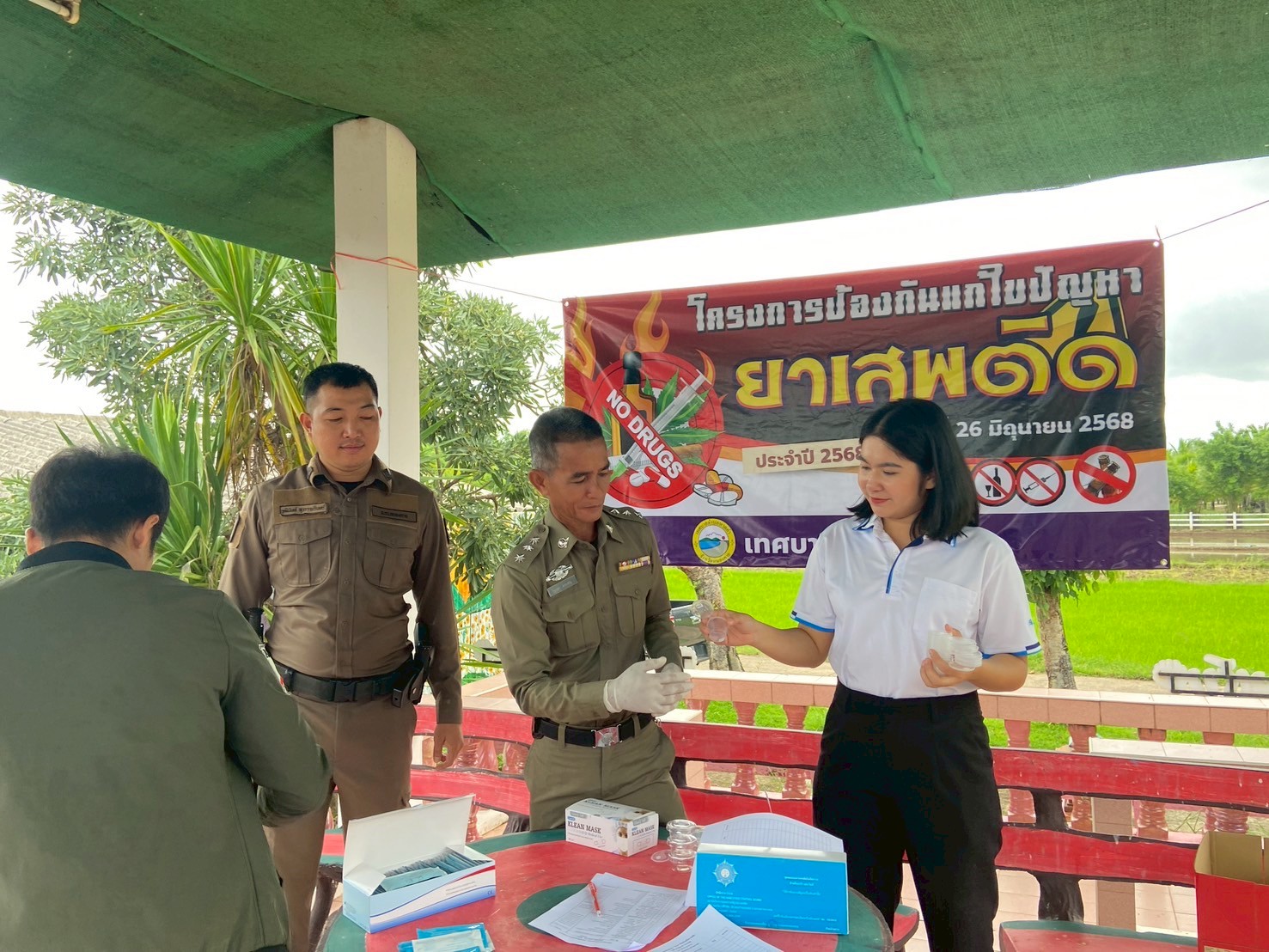 ภาพที่ 11