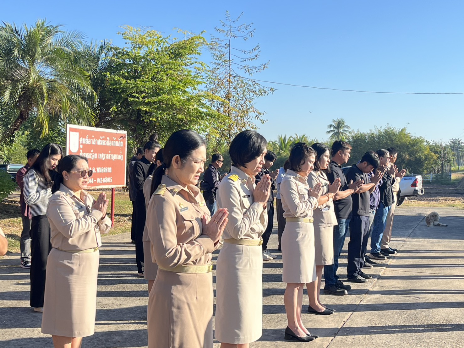 ภาพที่ 12