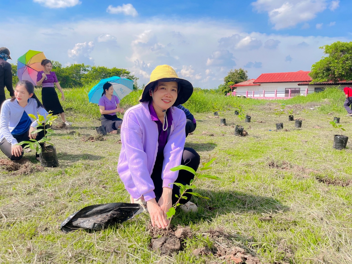 ภาพที่ 14