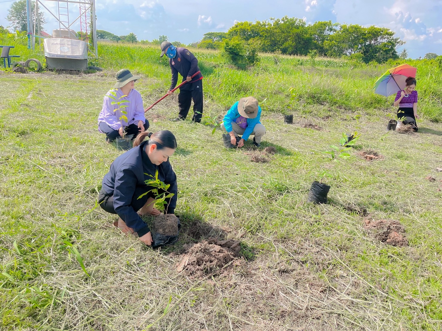 ภาพที่ 6