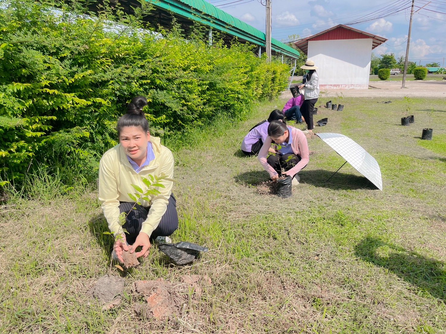 ภาพที่ 15