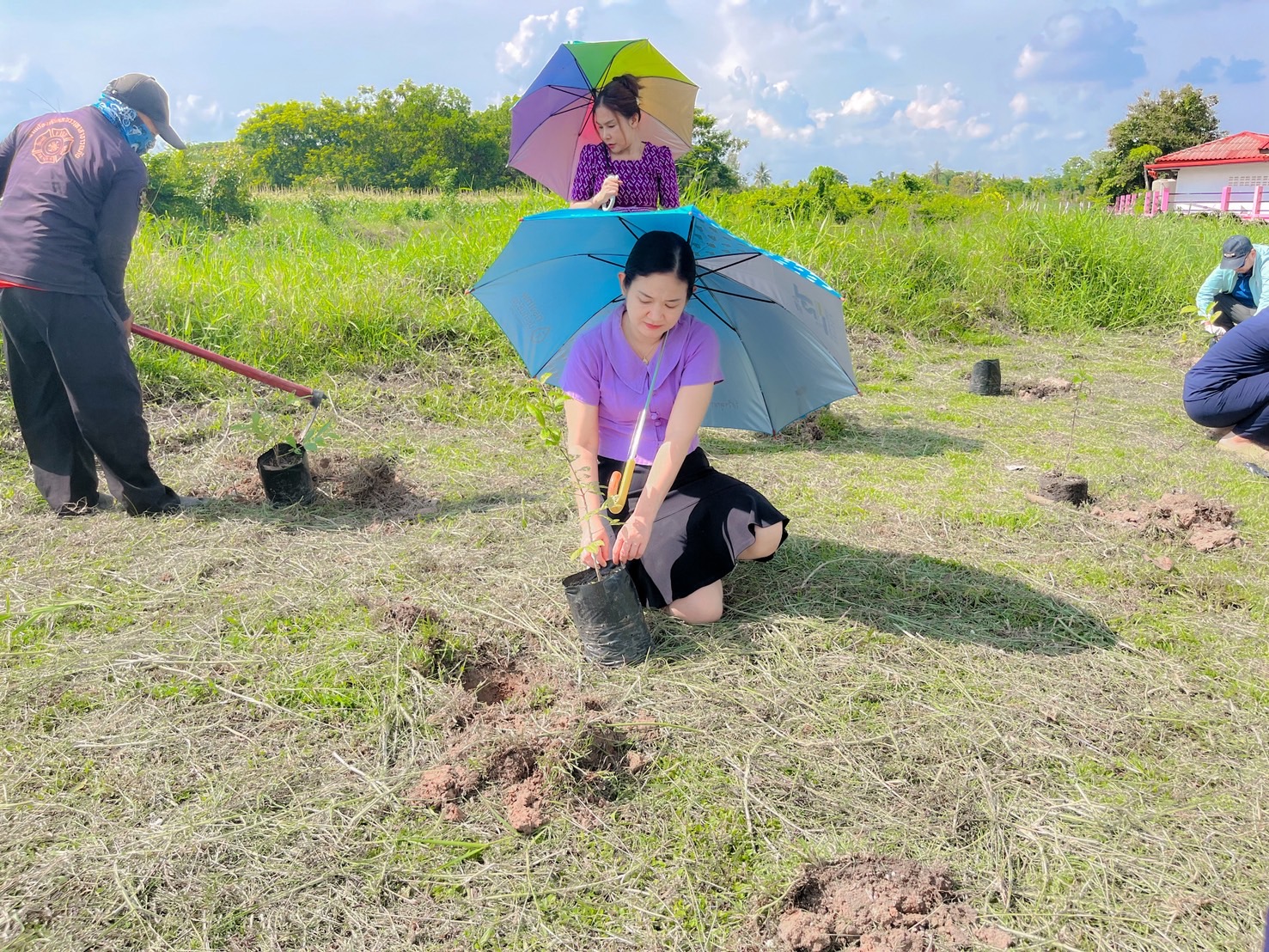 ภาพที่ 13