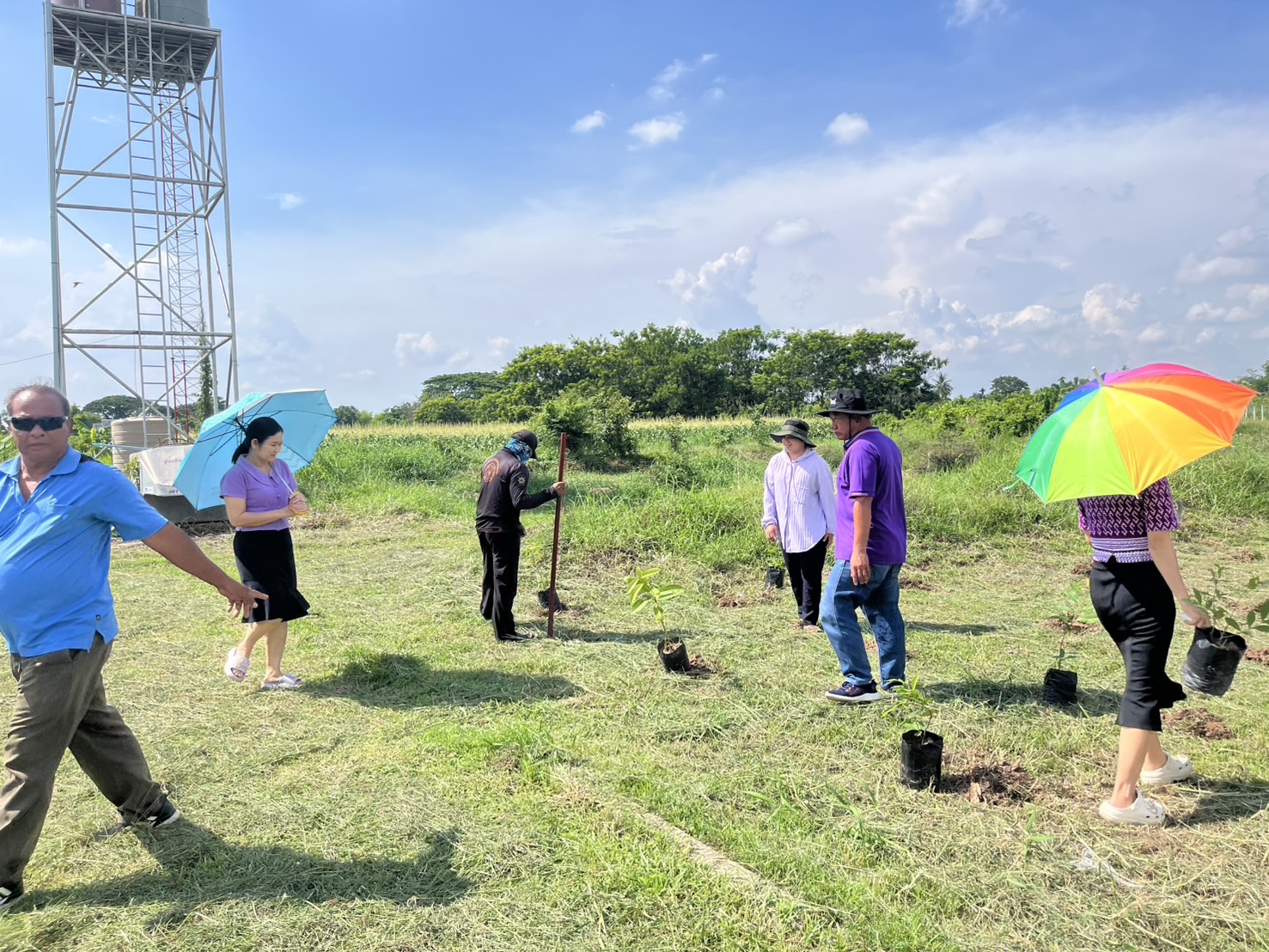 ภาพที่ 3