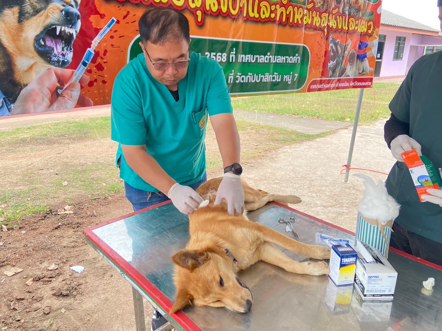 วันที่ 2 - 3 เมษายน 2568 เทศบาลตำบลหาดคำ ได้ออกดำเนินการฉีดวัคซีนป้องกันโรคพิษสุนัขบ้า และทำหมันสุนัข แมว ณ เทศบาลตำบลหาดคำและวัดบ้านฝ้าย หมู่ที่ 7