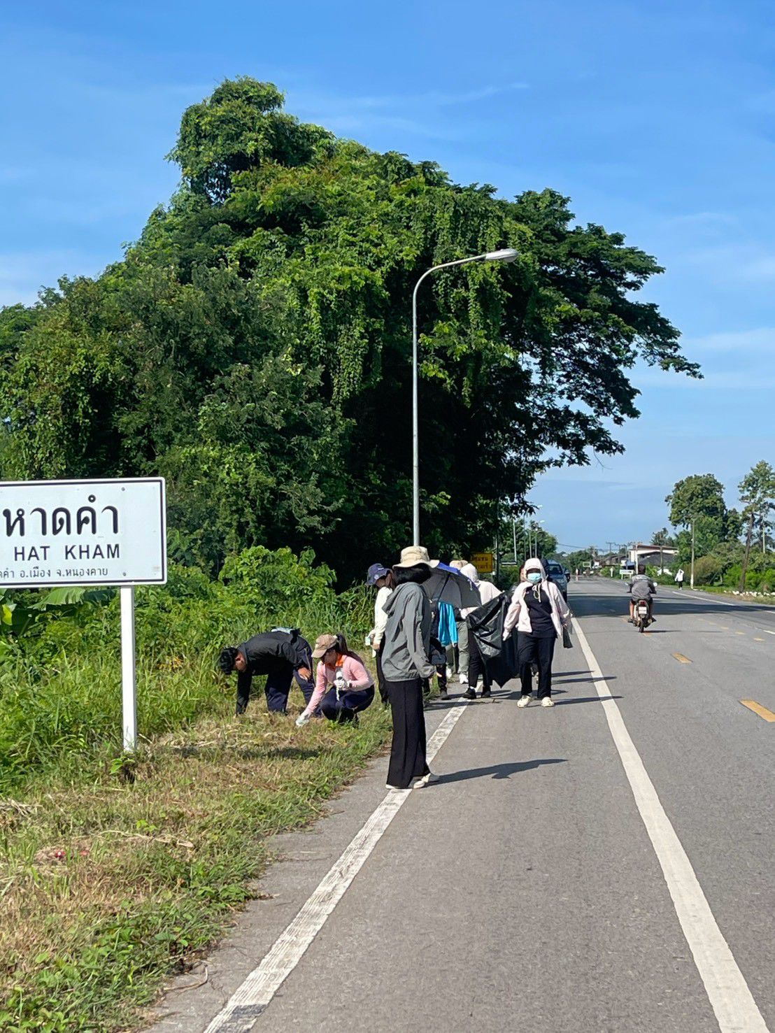 ภาพที่ 15
