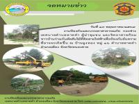 ร่วมกันตัดต้นไม้ที่ติดสายไฟฟ้าเพื่อป้องกันอันตรายฯ
