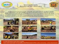 โครงการปลูกต้นทานตะวัน เพื่อส่งเสริมการท่องเที่ยว ประจำปี ๒๕๖๔