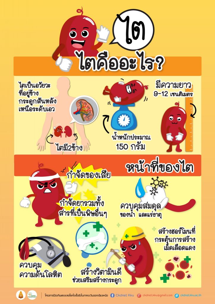 การป้องกันและชะลอภาวะไตวายเรื้อรัง
