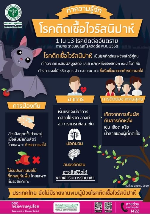 "ไวรัสนิปาห์ " 1 ใน 13 โรคติดต่ออันตราย ‼‼ เป็นโรคติดต่อระหว่างสัตว์สู่คน ที่เกิดจากการสัมผัสมูลสัตว์ และสารคัดหลั่งของสัตว์พาหะนำโรค คือ ค้างคาวผลไม้ หรือ สุกร ม้า แมว แพะ แกะ ซึ่งรับเชื้อมาจากค้างคาวผลไ